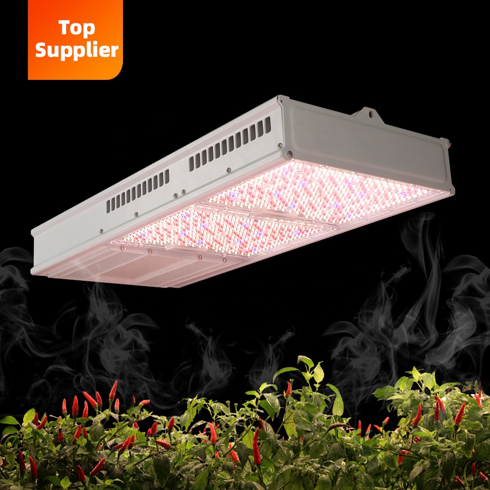 Kosteneffectieve 600W 800W Top - Plant Grow Light Full Spectrum recensie en prijs