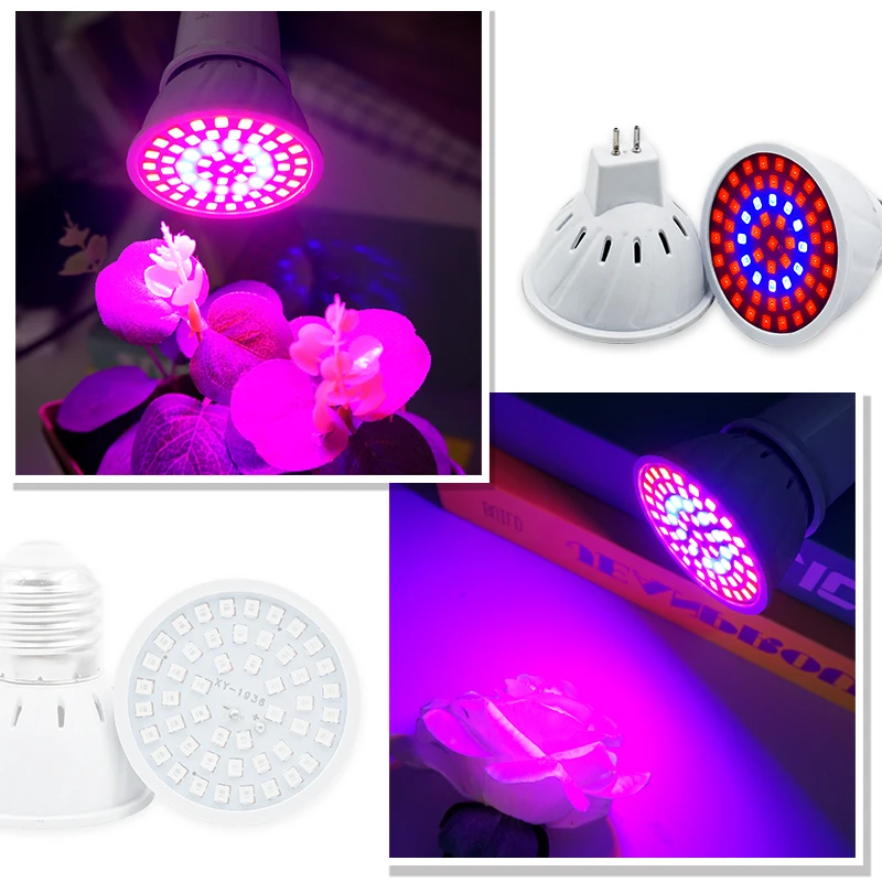 Phyto Lamp Volledige Spectrum  - Plant Grow Light Full Spectrum recensie en prijs