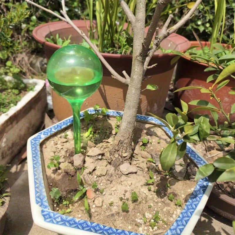 6 stuks zelfwatergevende balle - Smart Garden Auk recensie en prijs