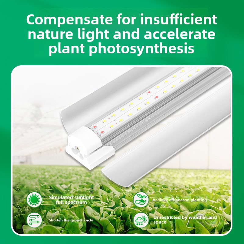 Indoor groeilamp T8 LED full s - Plant Grow Light Full Spectrum recensie en prijs