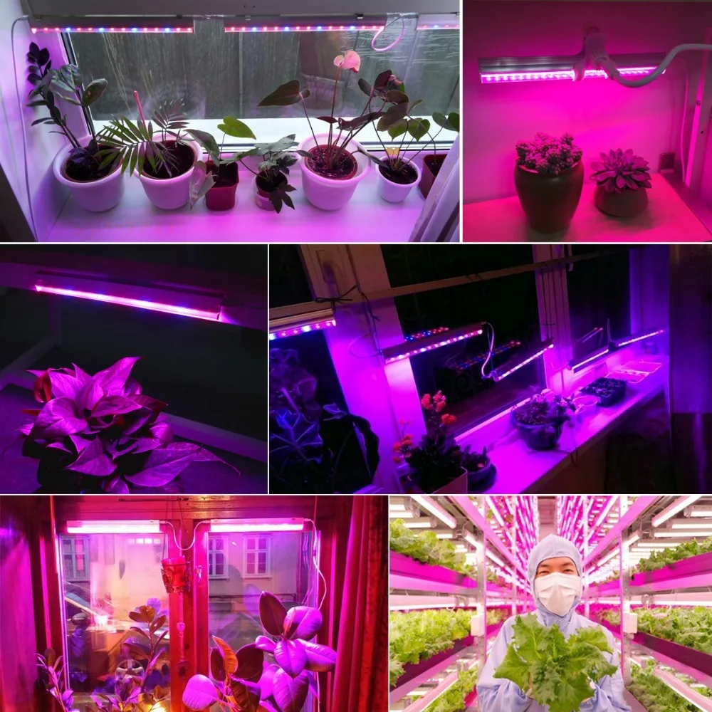 12 inch LED plantengroeilampst - Plant Grow Light Full Spectrum recensie en prijs