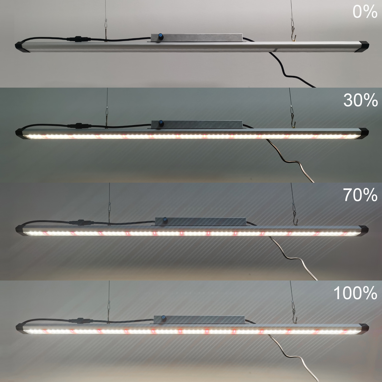 100W Full Spectrum LED-kweekla - Plant Grow Light Full Spectrum recensie en prijs