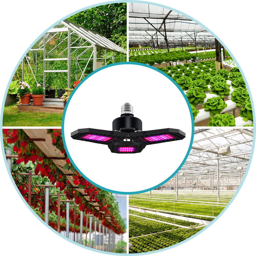 LED Plant Grow Light Bulb 200W - Plant Grow Light Full Spectrum recensie en prijs