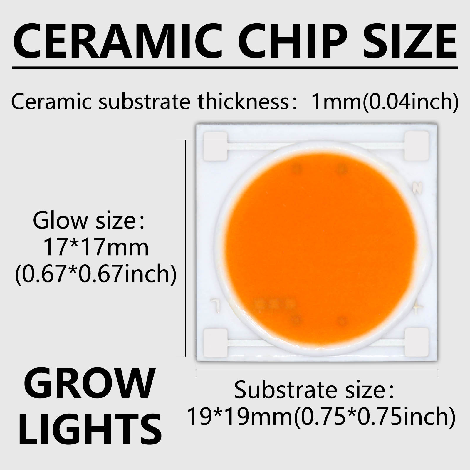 5 stks Keramiek Base LED COB C - Plant Grow Light Full Spectrum recensie en prijs