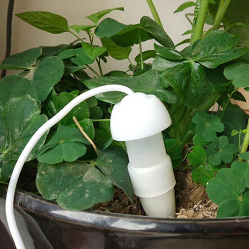 Plant Automatisch Besproeiings - Smart Garden Auk recensie en prijs
